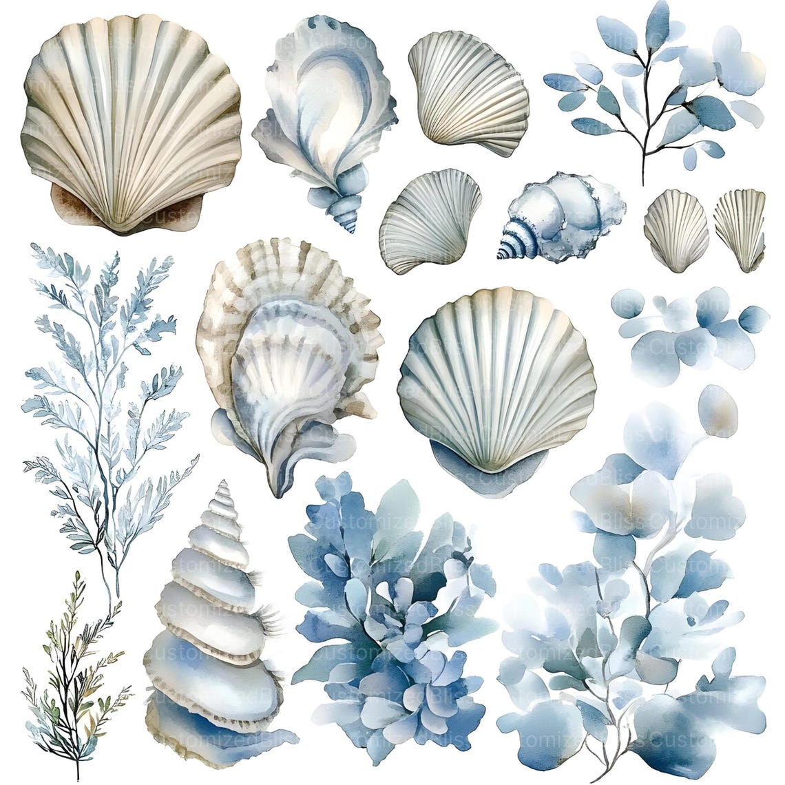 Botanicial Shell 20 Sea Shells Clipart, Coastal Botanical Seashells, High Quality Jpgs ...