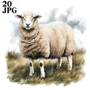 20 Clipart di pecore, vivaio di pecore, Clipart di animali da cortile, JPG di alta qualità, Clipart di acquerelli, diario spazzatura, download digitale, artigianato di carta