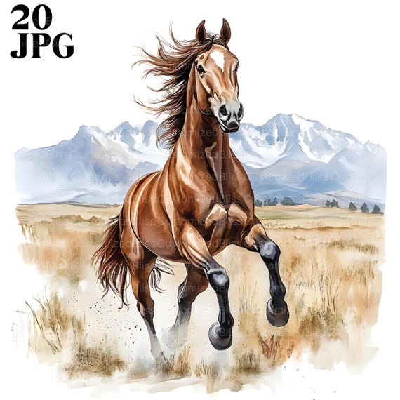 水彩の疾走する馬のクリップアート、20 枚の高品質 JPG、農場の