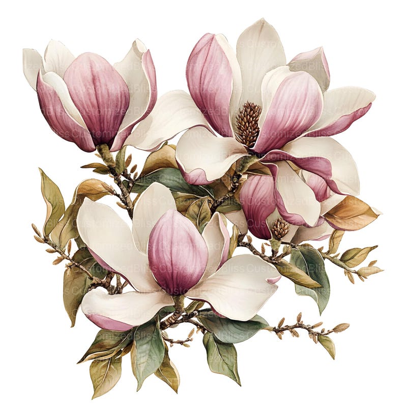 May include: A watercolor painting of a bouquet of pink and white magnolia flowers with green leaves.