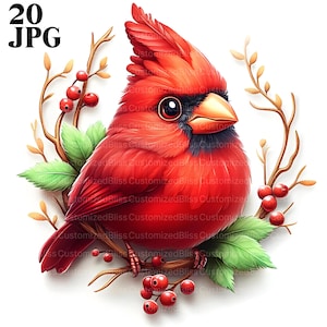 Niedlicher Kardinal Clipart Bundle, 20 hochwertige JPGs, entzückender Kardinal, niedlicher Vogel Clipart, roter Vogel Kunst, Kinderzimmerdekor, kommerzielle Nutzung, Handwerk