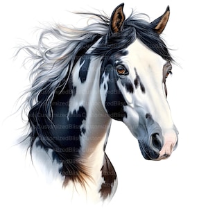 May include: A close-up portrait of a black and white paint horse with a long flowing mane. The horse has a white face with black spots and a black nose. The horse's eyes are brown.