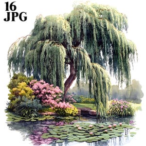 Puede incluir: Un sauce llorón con hojas verdes cuelga sobre un estanque con nenúfares y flores rosas. El estanque está rodeado de hierba verde y arbustos.