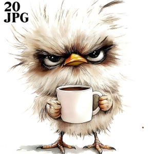 20 Grumpy Birds Clipart, Fluffy Cute Birds, High Quality JPGs, Watercolor Clipart, Junk Journal, Digital Download, Paper Craft, Printable