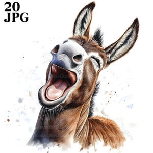 20 Funny Donkey Clipart, Donkey Laugh, Cute Donkey, High Quality JPGs, Watercolor Clipart, Junk Journal, Digital Download, Paper Craft