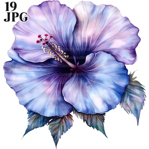 Aquarell Hibiskus Blumen Clipart, Hibiskus Clipart, Hibiskus Grafiken, 19 hochwertige JPGs, Junk Journal, digitaler Download, Papierhandwerk