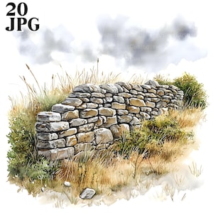 Può includere: Un dipinto ad acquerello di un muro di pietra con un campo erboso di fronte. Il muro è fatto di pietre ruvide e irregolari ed è leggermente curvo. Il campo è ricoperto di erba alta e secca e alcuni cespugli verdi. Il cielo è nuvoloso e grigio.