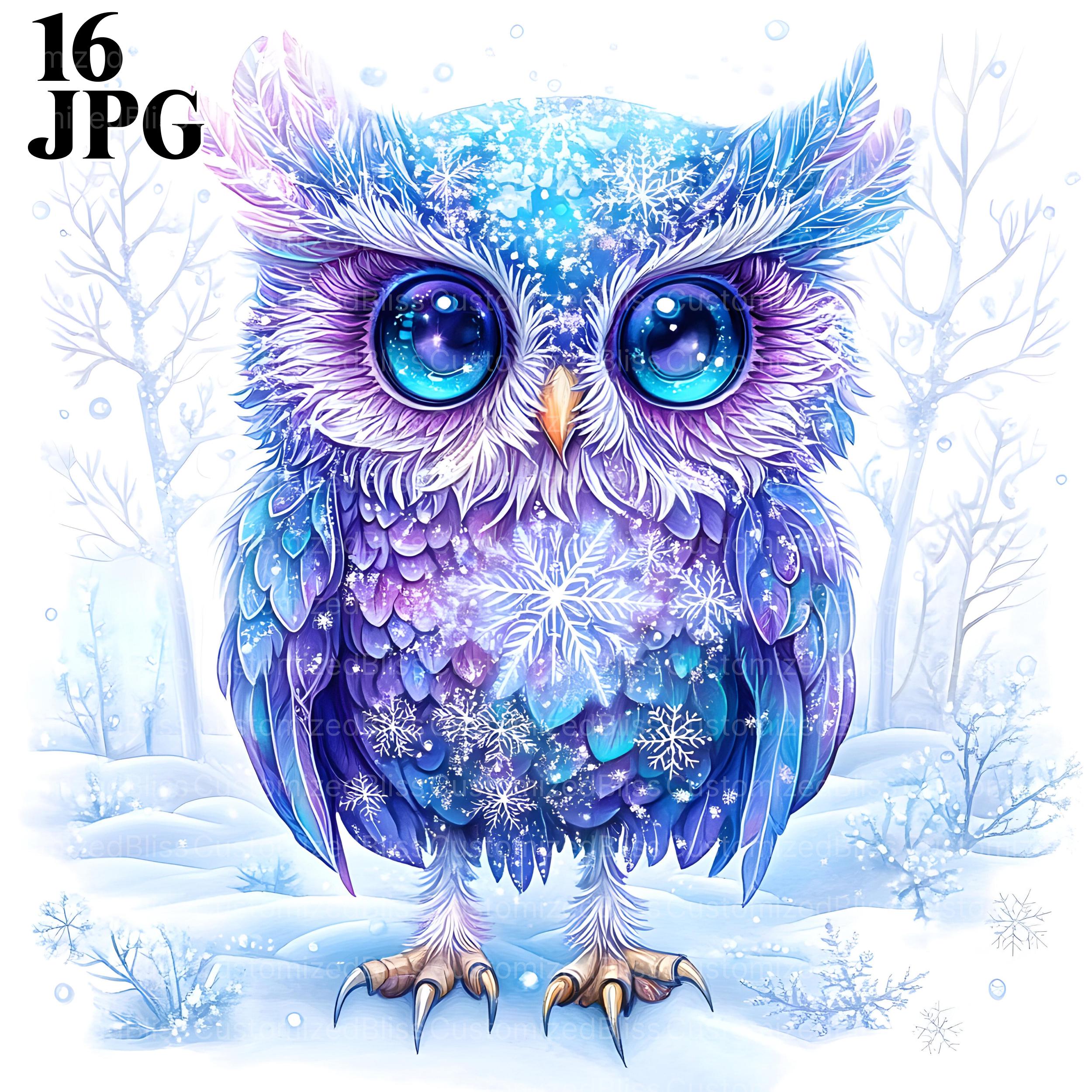 16 Winter Owl Clipart Bundle, Cute Owl, Christmas Owl, Colorful Owls, Owl Artwork, Owl Printable, Bi