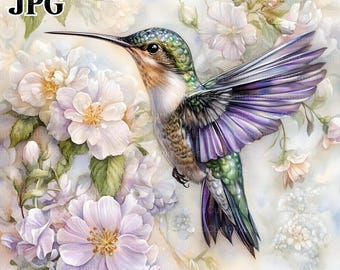 20 Vintage Hummingbird Clipart, Bird Clipart, Floral Clipart, High Quality JPGs, Watercolor Clipart, Junk Journal, Digital Download, Craft