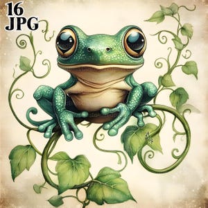16 Clipart grenouille lunatique, rainette, grenouille venimeuse, clipart amphibiens, clipart aquarelle, Junk Journal, téléchargement numérique, clipart, JPG
