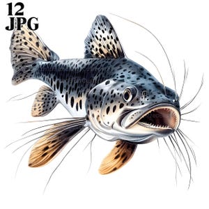 12 meerval clipart, vis clipart, meerval kunst, meerval illustraties, hoge kwaliteit JPGs, Paper Craft, Junk Journal, Digitale print, Commercieel gebruik