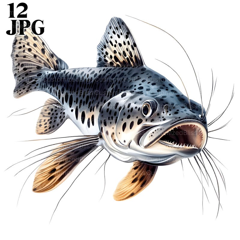 Catfish Art - Etsy