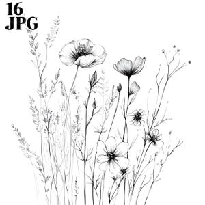 16 dessins de fleurs sauvages des cliparts noir et blanc, des cliparts fleurs sauvages, des cliparts aquarelle, Junk Journal, téléchargement numérique, créations en papier, JPG