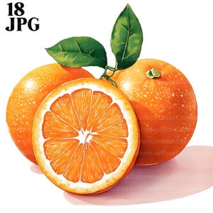 18 imágenes prediseñadas de naranja, imágenes prediseñadas de cítricos, imágenes prediseñadas de frutas, JPG de alta calidad, imágenes prediseñadas de acuarela, diario basura, descarga digital, imágenes prediseñadas de papel