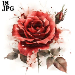18 Red Rose Clipart, Flower Clipart, Botanical Clipart, High Quality JPGs, Watercolor Clipart, Junk Journal, Digital Download, Paper Craft