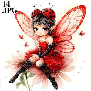 Lot de 14 cliparts fée coccinelle, clipart fée, clipart ballerine coccinelle, fée ballerine, clipart ballerine, clipart coccinelle Clipart lutin