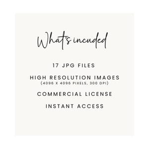May include: Text that reads "What's included" followed by "17 JPG FILES", "HIGH RESOLUTION IMAGES (4096 X 4096 PIXELS, 300 DPI)", "COMMERCIAL LICENSE", and "INSTANT ACCESS".