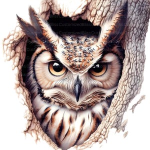 May include: A close-up of an owl's face peering out from a hole in a tree trunk. The owl has large, golden eyes and brown and white feathers.