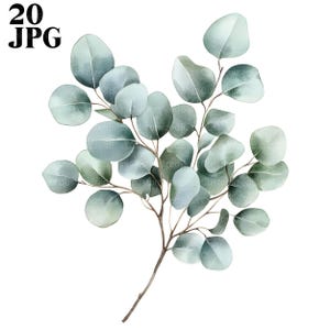 Clipart di eucalipto, foglie botaniche, piante botaniche, 20 JPG di alta qualità, clipart di acquerelli, diario spazzatura, download digitale, artigianato di carta
