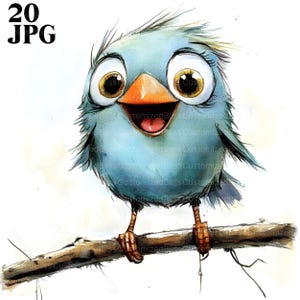 20 imágenes prediseñadas de pájaros divertidos, pájaros de dibujos animados, pájaros extravagantes, archivos JPG de alta calidad, imágenes prediseñadas de acuarela, diario basura, descarga digital, manualidades de papel