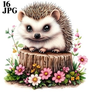 16 Ouriço Clipart, Floral Ouriço Clip Art, Woodland Clipart, Wildflowers Clipart, Nursery Clipart, JPGs de alta qualidade, Download digital