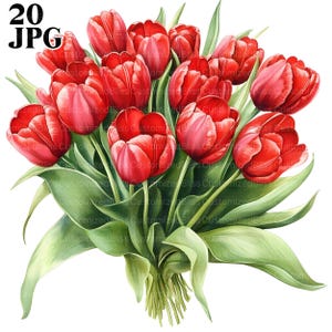 20 Red Tulips Clipart, Tulips Bouquet Clipart, High Quality JPGs, Watercolor Clipart, Junk Journal, Digital Download, Paper Craft, Printable