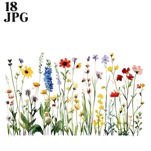 18 Wildflowers Border Clipart Bundle, Flower Clipart, High Quality JPGs, Watercolor Clipart, Junk Journal, Digital Download, Paper Craft
