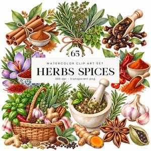 May include: A watercolor clip art set of herbs and spices featuring cinnamon sticks, cloves, saffron, chili peppers, garlic, ginger, star anise, and a mortar and pestle. The central text reads 65 WATERCOLOR CLIP ART SET HERBS SPICES 300 dpi transparent png.