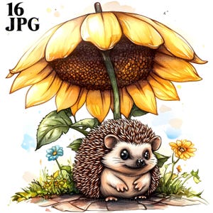 16 clipart fofos de ouriço com girassol, clipart de ouriço, JPG de alta qualidade, clipart de aquarela, diário de lixo, download digital, artesanato em papel