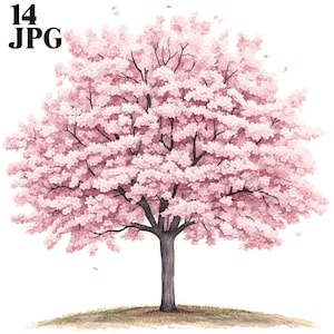 Kirschbaum im Frühling Clipart Bundle, 16 hochwertige JPG, Baum Clipart, Kartenherstellung, Clip Art, Papierhandwerk, Scrapbooking, digitaler Download