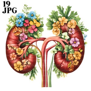 19 bloemen nieren clipart, nier bloemen clipart bundel, gezondheidszorg clipart, medische clipart, medische afdrukbare, ongewenste dagboek, clip art JPG