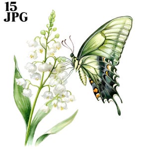 15 Clipart papillon muguet, Clipart floral, Clipart aquarelle, JPG haute qualité, téléchargement numérique, créations en papier, journal indésirable