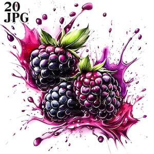 Clipart di more, Clipart di bacche, 20 JPG di alta qualità, Grafica di bacche, Clipart di acquerelli, Diario spazzatura, Download digitale, Uso commerciale,