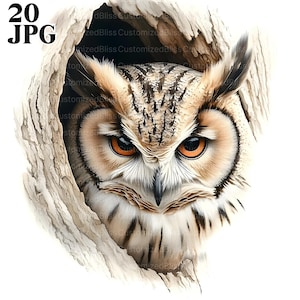 20 Elegante Eule Clipart, Majestätische Eule Clipart Bundle, Wildtiere Clipart, Wald Clipart, Vogel Clipart, Junk Journal, digitaler Download, JPG