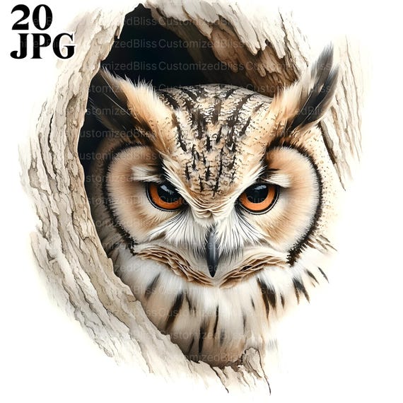 20 Elegant Owl Clipart, Majestic Owl Clipart Bundle, Wildlife Clipart, Woodland Clipart, Bird Clipart, Junk Journal, Digital Download, JPG