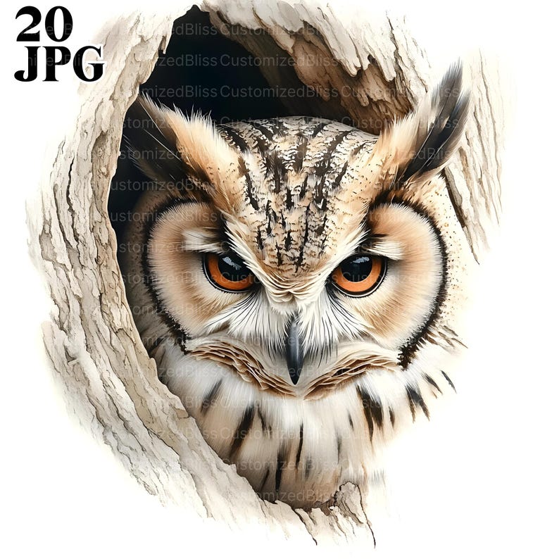May include: A close-up of an owl's face peering out from a tree hollow. The owl has large, bright orange eyes and brown and white feathers.