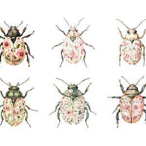 Pode incluir: Seis ilustra&ccedil;&otilde;es de aquarela de besouros com padr&otilde;es florais em suas asas. Os besouros s&atilde;o de v&aacute;rios tons de rosa, verde e marrom. O fundo &eacute; branco.