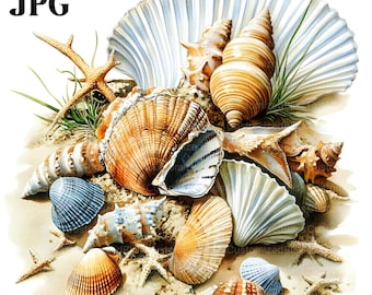18 schelpen clipart, aquarel schelpen, nautische clipart, oceaan clipart, zee clipart, Shell clipart, digitale download, Paper Craft, JPG