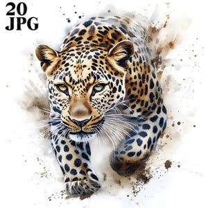 20 Leopard Clipart, Leopard Picture, Cute Animal Clipart, High Quality JPGs, Watercolor Clipart, Junk Journal, Digital Download, Paper Craft