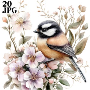 20 cliparts mésange, clipart oiseau mignon, chambre d'enfant oiseau mignon, JPG haute qualité, clipart aquarelle, journal indésirable, créations en papier téléchargement numérique