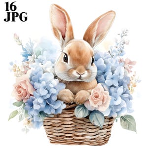 16 Coelho em Cesta de Páscoa com Flores Clipart, Coelho Clipart, Páscoa Clipart, JPGs de Alta Qualidade, Diário de Lixo, Download Digital, Artesanato
