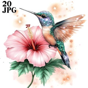 20 imágenes prediseñadas de colibrí, imágenes prediseñadas de aves en acuarela, JPG de alta calidad, imágenes prediseñadas de acuarela, diario basura, descarga digital, manualidades de papel, imágenes prediseñadas