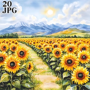 20 Clipart champs de tournesols, clipart tournesol, JPG de haute qualité, clipart aquarelle, Junk Journal, téléchargement numérique, créations en papier, Clip Art