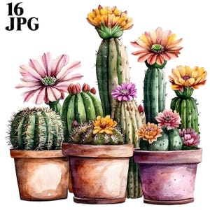16 ingegoten cactus clipart, cactussen clipart, plant clipart, hoge kwaliteit jpg's, aquarel clipart, junk Journal, digitale download, Paper Craft