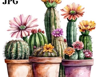 Könnte beinhalten: Ein Aquarellbild einer Gruppe von Topfkakteen mit rosa, gelben und orangefarbenen Blüten. Die Kakteen stehen in braunen und violetten Töpfen.