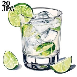 20 Clipart Gin Tonic, Cocktail Clipart, Clipart boisson, JPG haute qualité, Clipart aquarelle, Junk Journal, téléchargement numérique, créations en papier