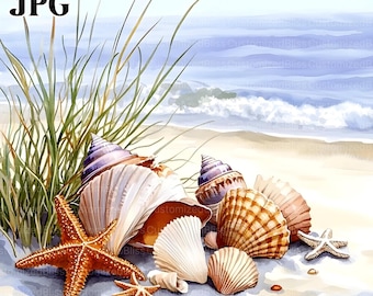 20 Tropical Beach Shells Clipart, Summer Clipart, High Quality JPG, Watercolor Clipart, Junk Journal, Digital Download, Paper Craft Clip Art
