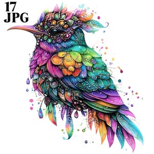Clipart oiseau arc-en-ciel, clipart oiseau coloré, graphiques d'oiseaux, 17 fichiers JPG de haute qualité, clipart aquarelle, Junk Journal, téléchargement numérique, artisanat