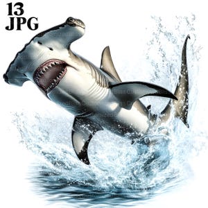 13 Hammerhead Shark Clipart Bundle, Shark Clipart, Sea Life Clipart, Shark Designs, Marine Wildlife, High Quality JPGs, Commercial Use