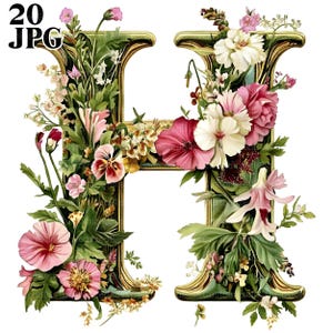 20 imágenes prediseñadas de la letra H, imágenes prediseñadas del alfabeto, imágenes prediseñadas para guardería, archivos JPG de alta calidad, imágenes prediseñadas de acuarela, diario basura, descarga digital, manualidades de papel
